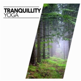 Tranquillity Yoga