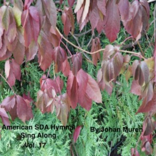 American Sda Hymnal Sing Along Vol. 17