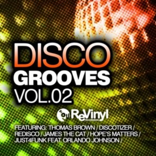 Disco Grooves Vol. 02