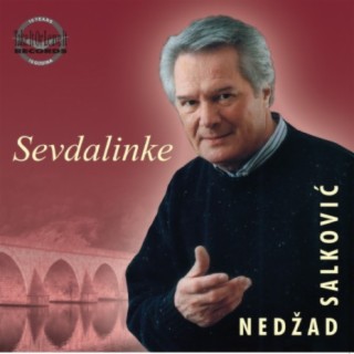 Nedzad Salkovic