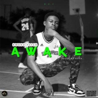 Awake lyrics | Boomplay Music