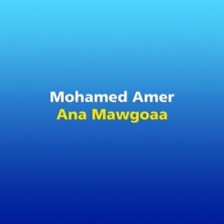 Mohamed Amer