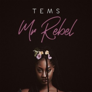Mr Rebel lyrics | Boomplay Music
