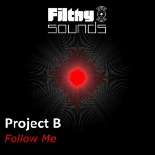 Project B