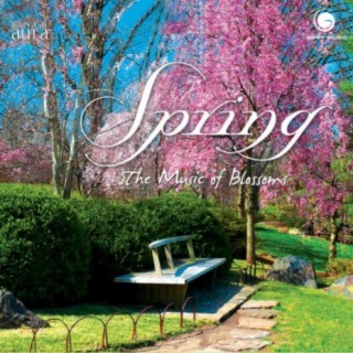 Musical Aura 2 -Spring