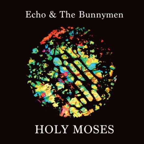 Holy Moses | Boomplay Music