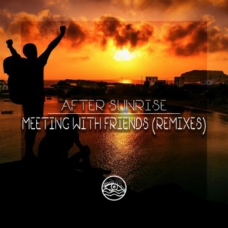 Meeting With Friends (Remixes)