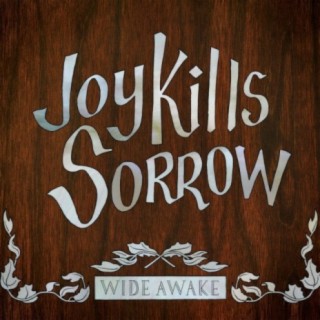 Joy Kills Sorrow