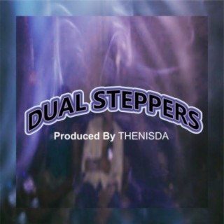 Dual Steppers