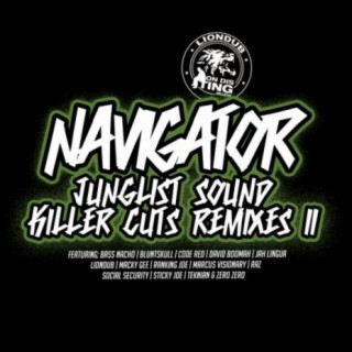 Junglist Sound Killer Cuts, Remixes II
