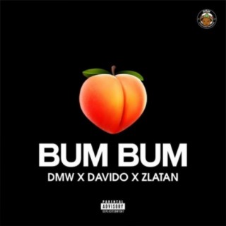 Bum Bum ft. Davido & Zlatan lyrics | Boomplay Music