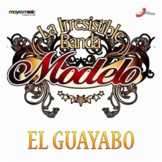 El Guayabo