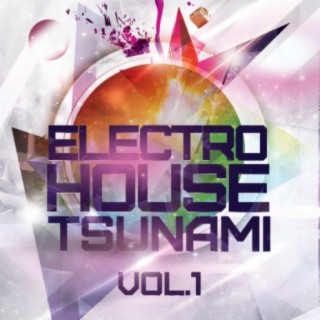 Electro House Tsunami, Vol. 1
