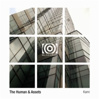 The Human & Assets