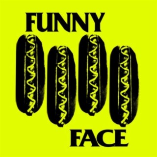 Funny Face House