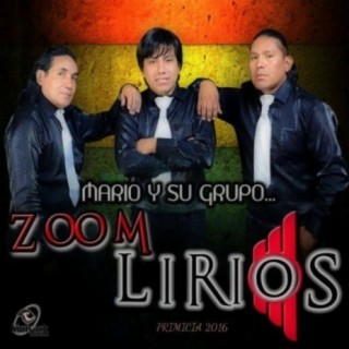 Mario y Su Grupo Zoom Lirios