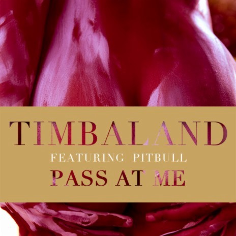 Pass At Me ft. Pitbull | Boomplay Music