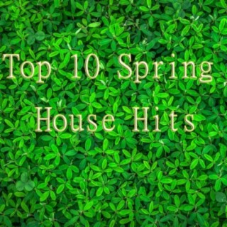 Top 10 Spring House Hits