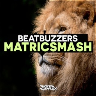 BeatBuzzers