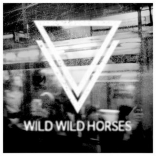 Wild Wild Horses