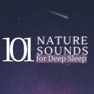 101 Nature Sounds for Deep Sleep: Healing Ambient Green Relaxation