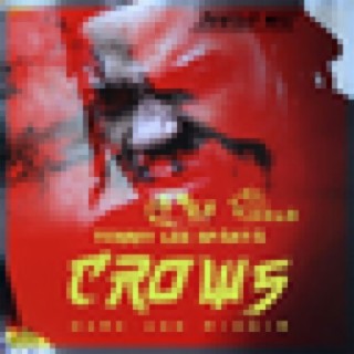 Crows lyrics | Boomplay Music