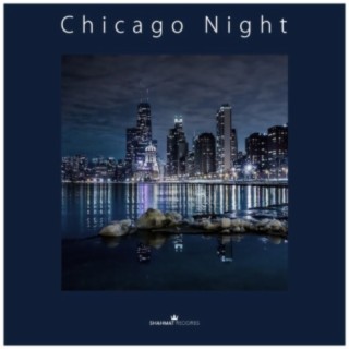 Chicago Night