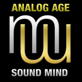 Sound Mind (Fonzerelli Indie Prog mix)