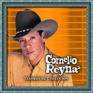 Cornelio Reyna Jr.