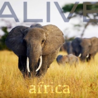 Africa