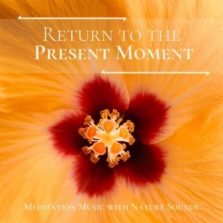 Return to the Present Moment: Meditation Music with Nature Sounds