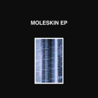 Moleskin