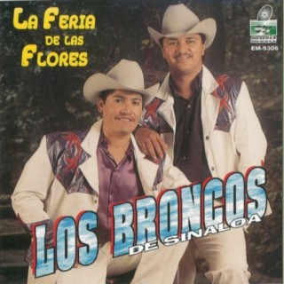 Los Broncos De Sinaloa