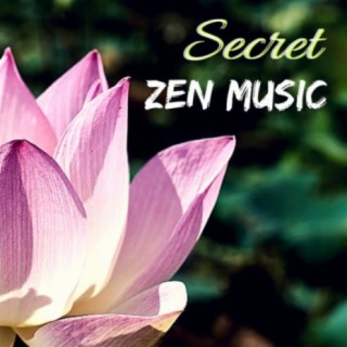 Flow Zen Silent