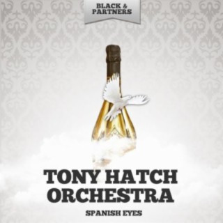 The Tony Hatch Orchestra