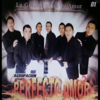 Grupo Amor Perfecto