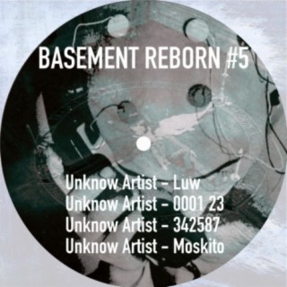 Basement Reborn