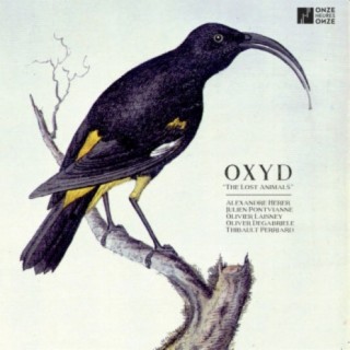 Oxyd