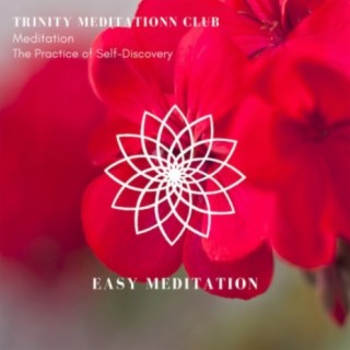 Trinity Meditationn Club