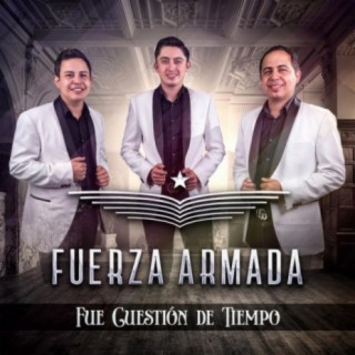 Fuerza Armada