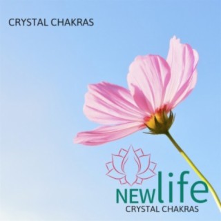 Crystal Chakras