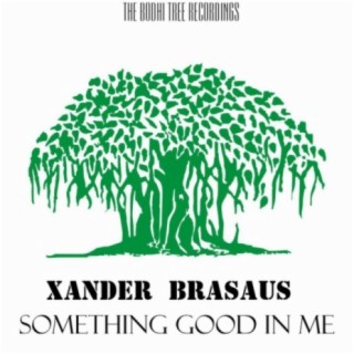 Xander Brasaus