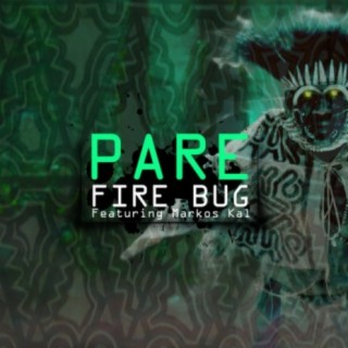 Fire Bug