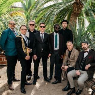 New Cool Collective