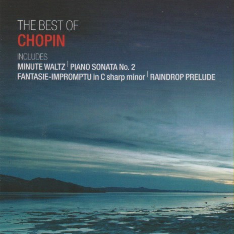 Chopin: Piano Sonata No. 2 in B flat minor, Op. 35: 2. Scherzo: Molto vivace | Boomplay Music