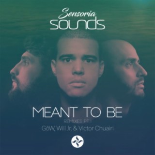 Meant To Be (Remixes), Pt. 01