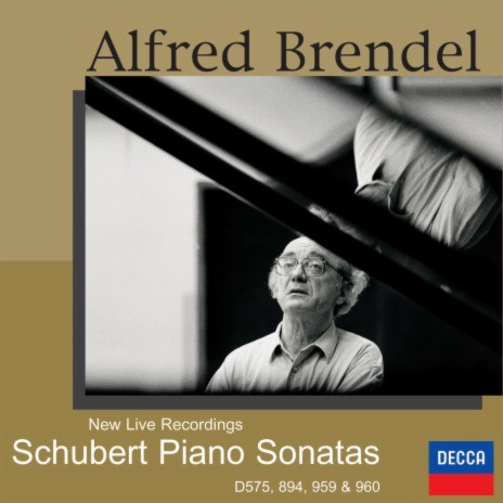 Schubert: Piano Sonata No. 18 in G Major, D. 894: II. Andante (Live at Alte Oper, Frankfurt, 1998) | Boomplay Music