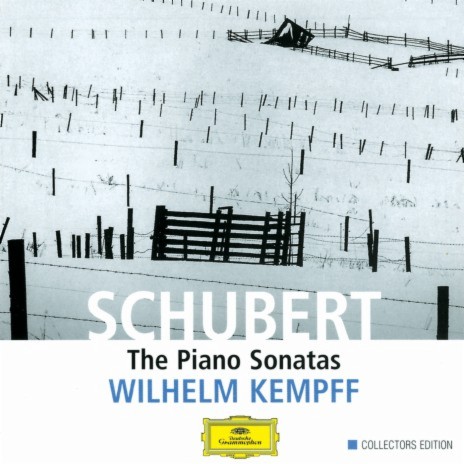 Schubert: Piano Sonata No. 3 in E Major, D. 459 - IV. Scherzo con trio (Allegro) | Boomplay Music