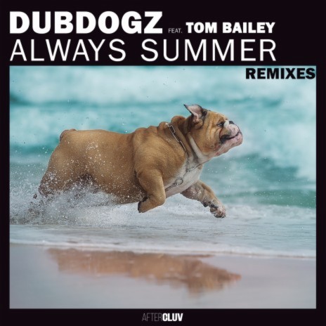 Always Summer (RADIØMATIK Remix) ft. Tom Bailey | Boomplay Music