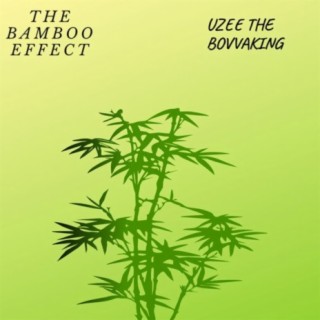 The Bamboo Effect